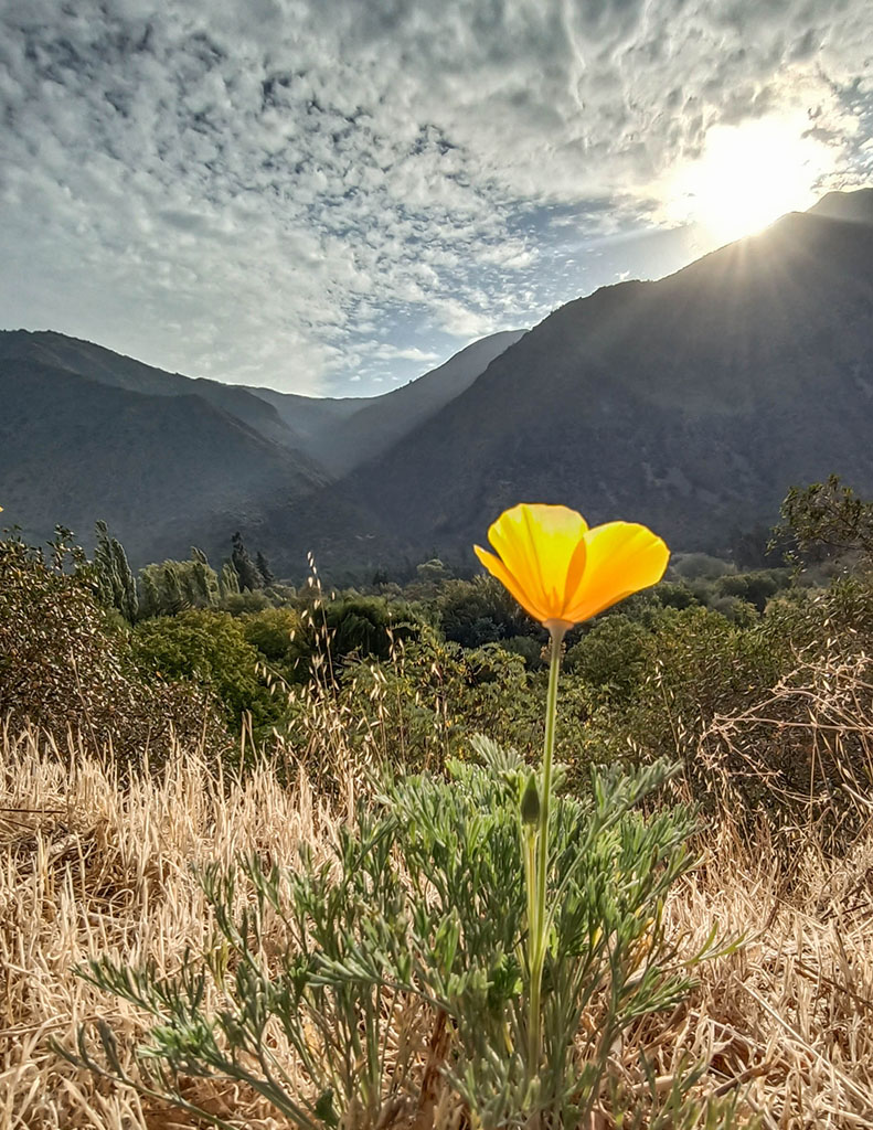 Paisajes del Cajón del Maipo y camino a Lagunillas cerca de Tiny Cabin Quillay